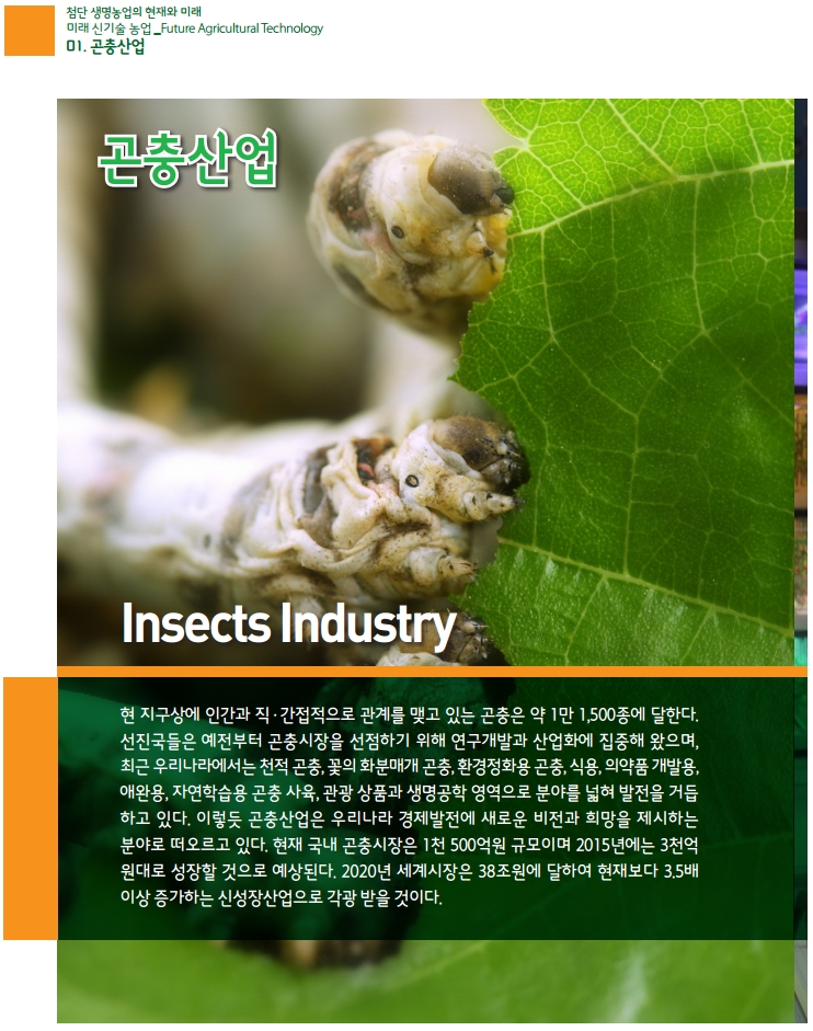 곤충산업